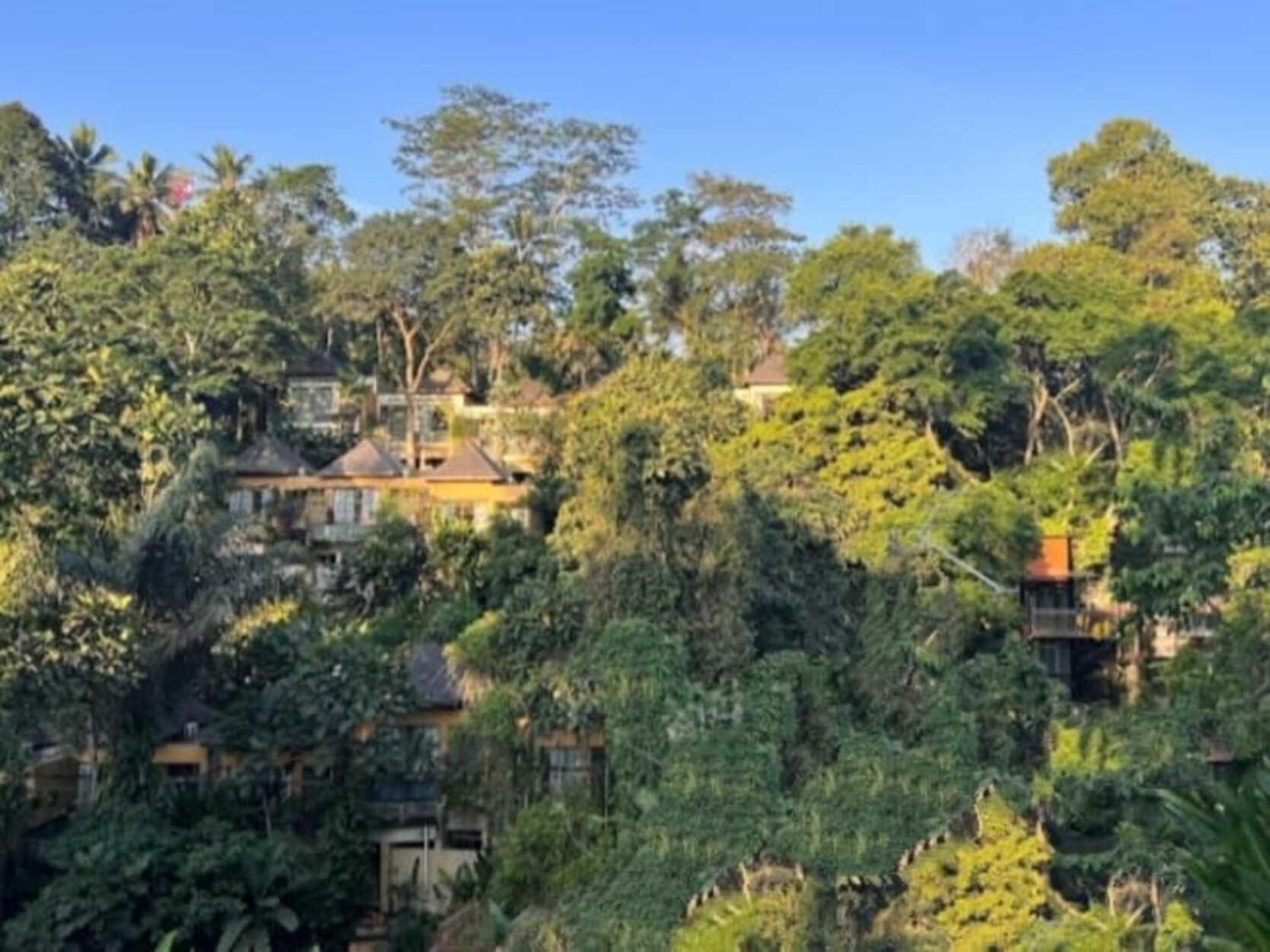 אובוד Pondok Kungkang Villa 2 מראה חיצוני תמונה