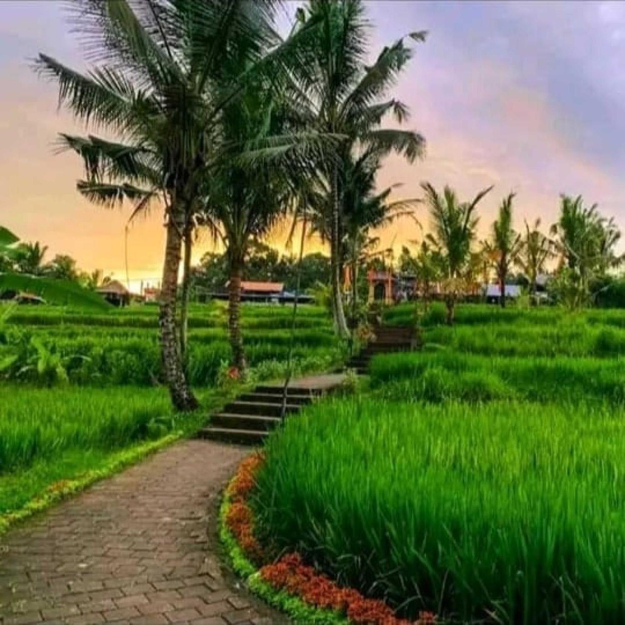 אובוד Pondok Kungkang Villa 2 מראה חיצוני תמונה